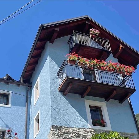 Casa Del Cios Calda E Intima Casetta Immersa Nel Verde Delle Montagne Alpe Basciumo 외부 사진
