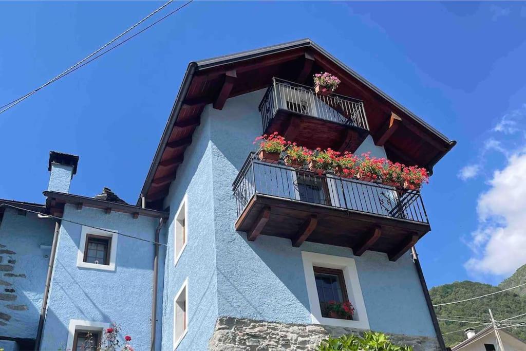 Casa Del Cios Calda E Intima Casetta Immersa Nel Verde Delle Montagne Alpe Basciumo 외부 사진