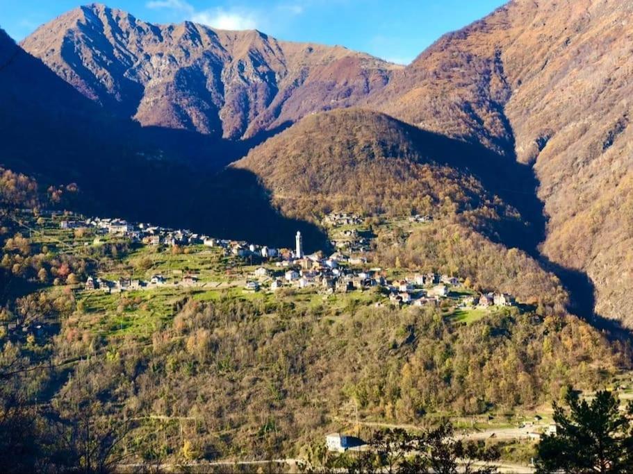 Casa Del Cios Calda E Intima Casetta Immersa Nel Verde Delle Montagne Alpe Basciumo 외부 사진