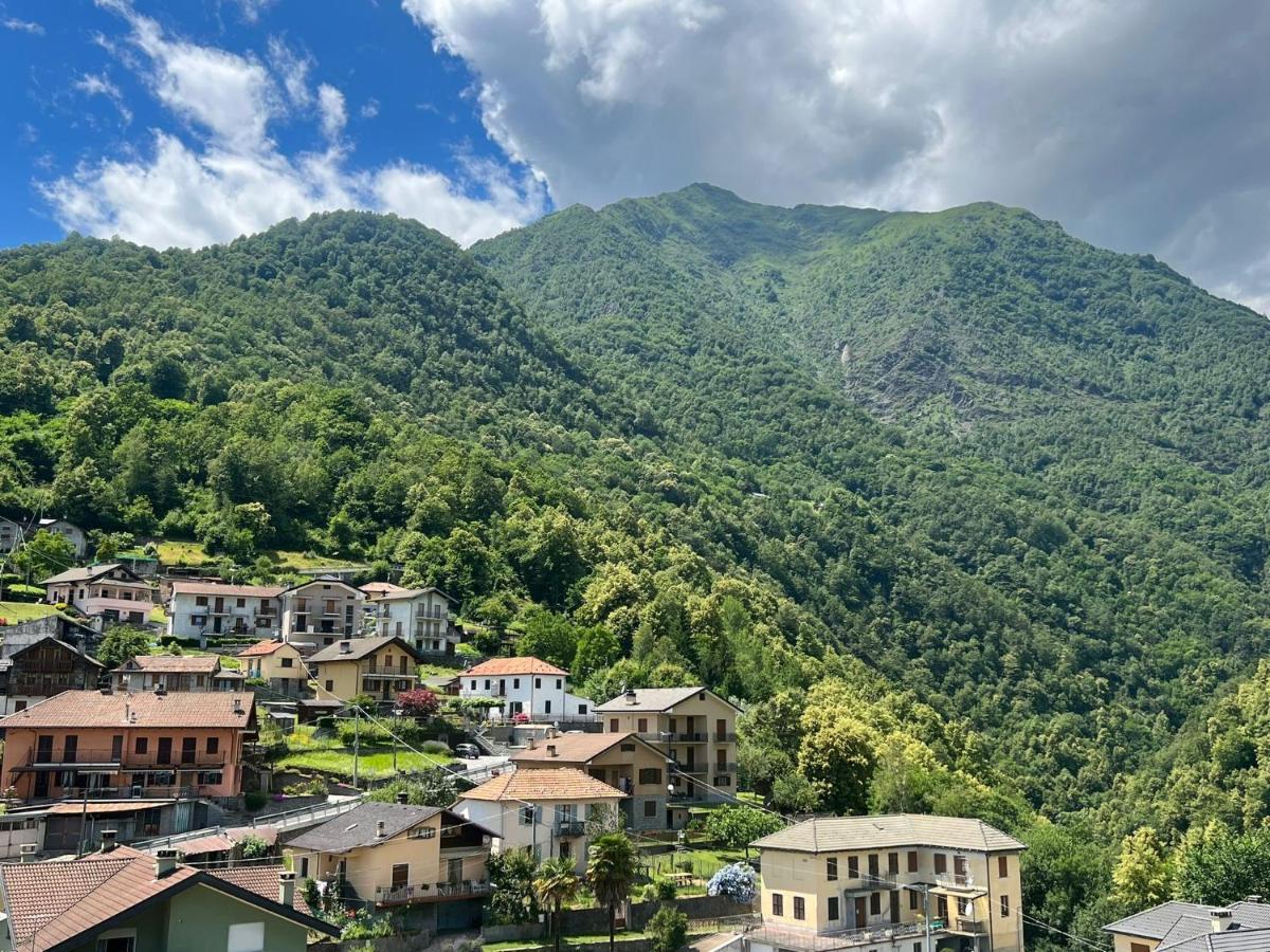 Casa Del Cios Calda E Intima Casetta Immersa Nel Verde Delle Montagne Alpe Basciumo 외부 사진